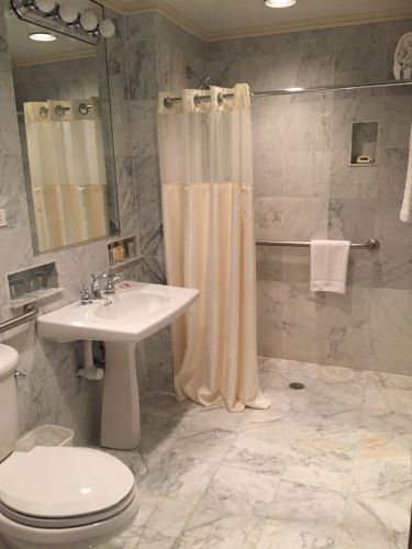 The Deluxe Accessible Queen rooms have a roll-in shower which are ADA compliant