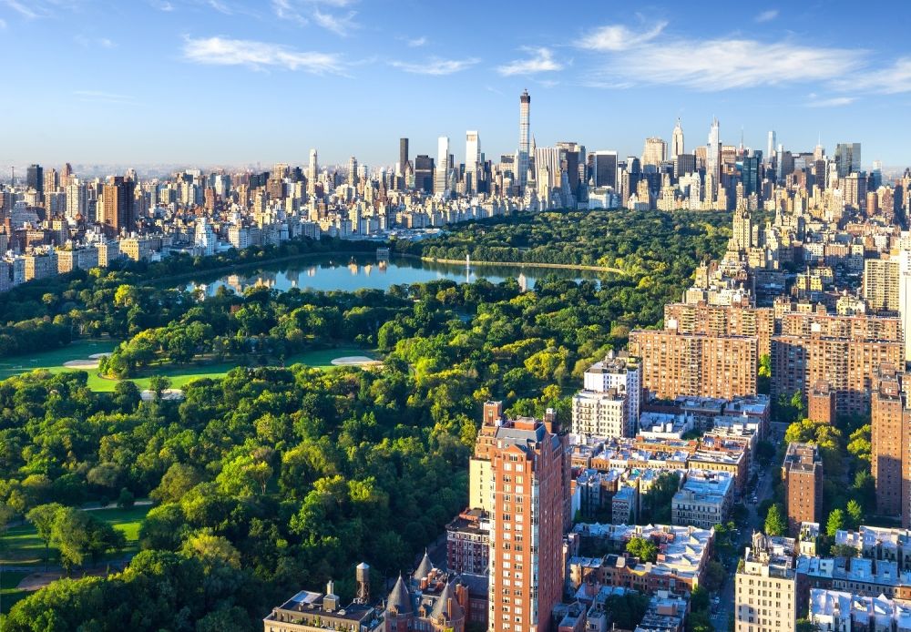 aerial view of central park in the summer